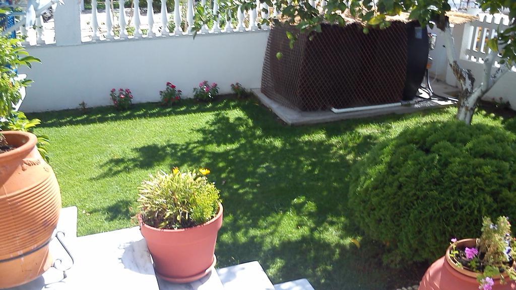 Ionio Gastronomy Suites Ammoudia Exteriör bild