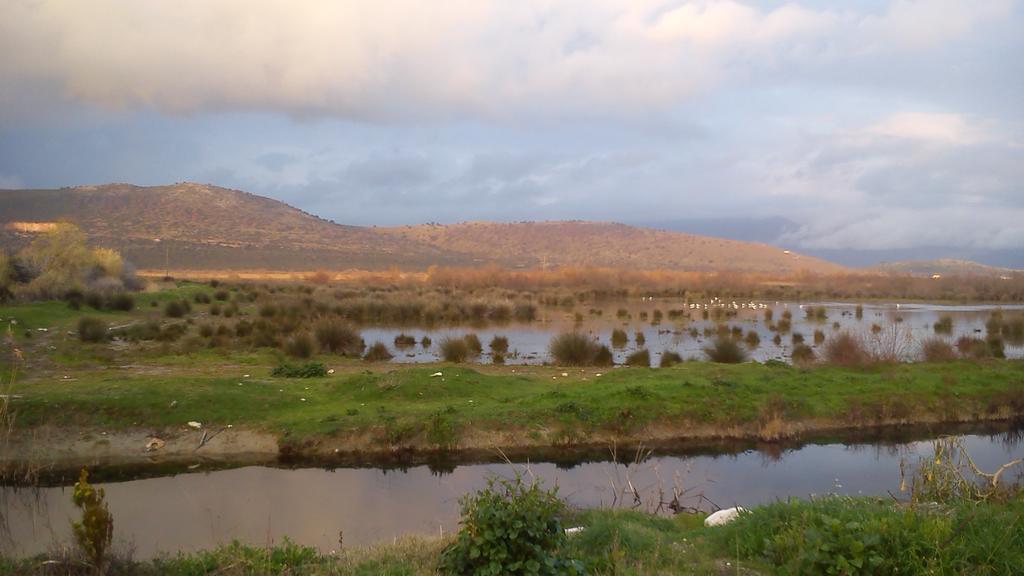 Ionio Gastronomy Suites Ammoudia Exteriör bild