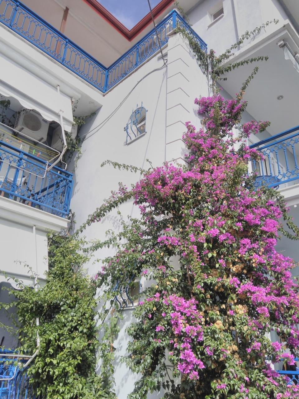 Ionio Gastronomy Suites Ammoudia Exteriör bild